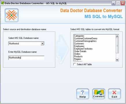 Database Conversion Process