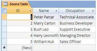 Database Conversion Process