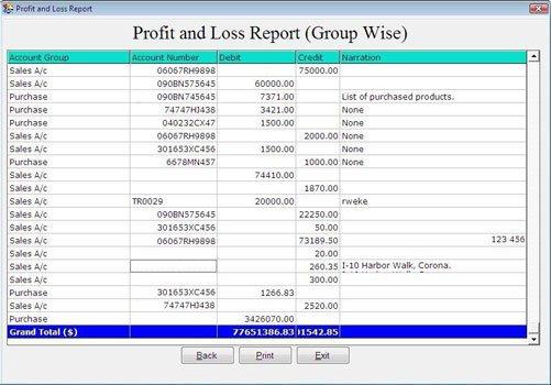 Profit and Loss Report Group Wise