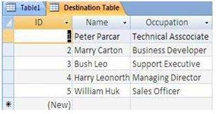 Database Conversion Process