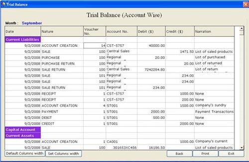 Trial Balance Account Wise