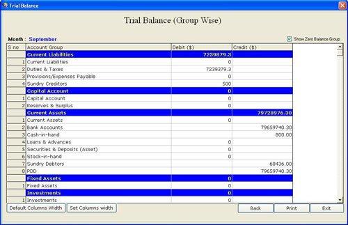 Trial Balance Group Wise