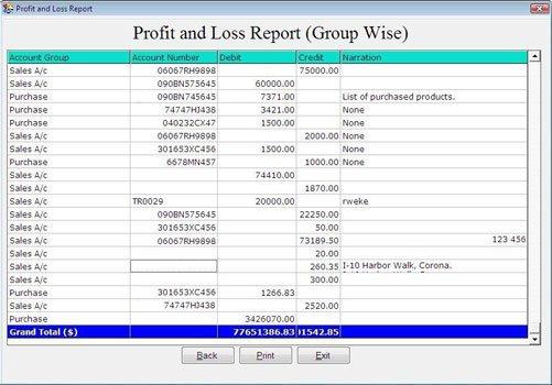 Profit and Loss Report Group Wise