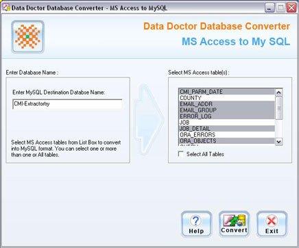 Database Conversion Process