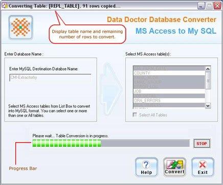 Conversion Process